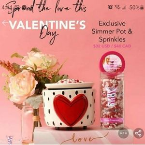 Pink Zebra Valentines Set